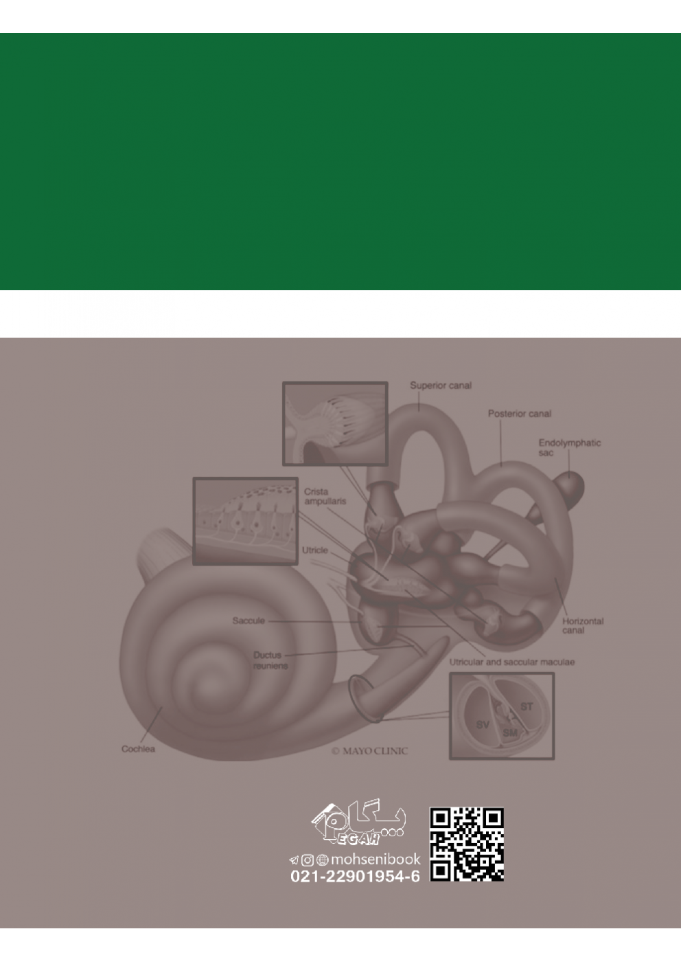 Balance Function Assessment and Management